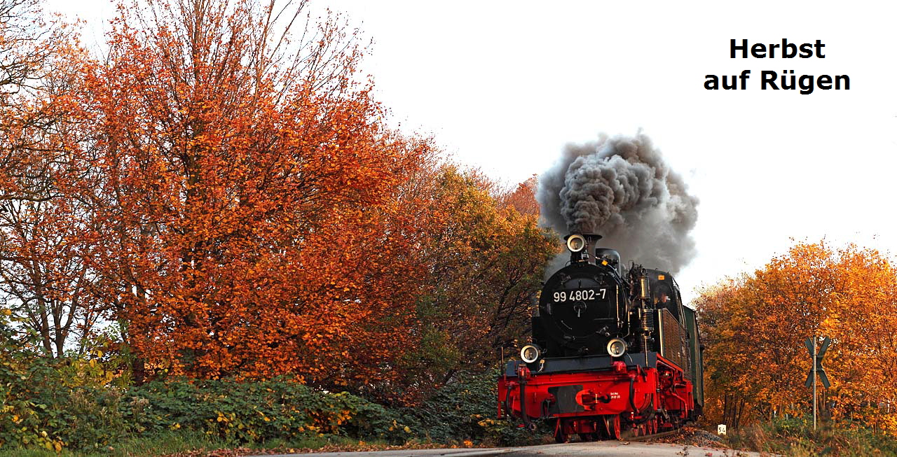 Herbst     
auf Rgen